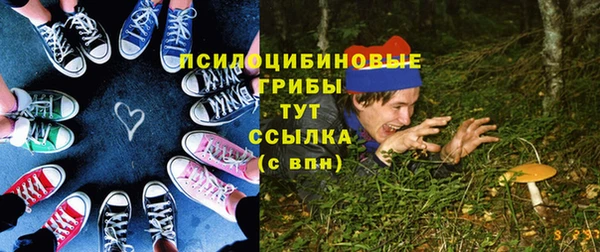 mdma Богородицк