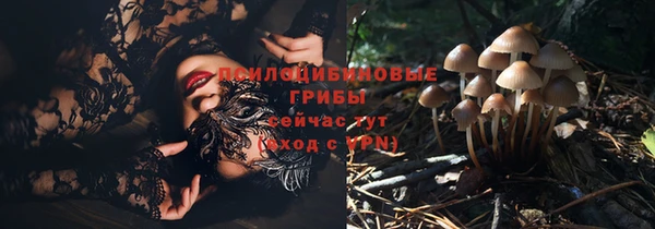 тгк Богородск