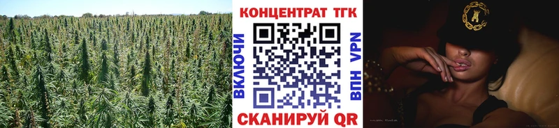 ТГК Wax Егорьевск