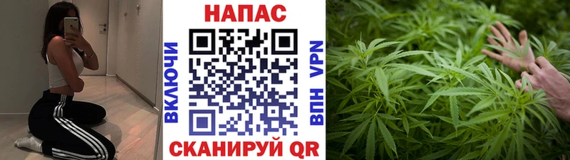 omg маркетплейс Егорьевск маркетплейс какой сайт наркотики Шишки марихуана марихуана